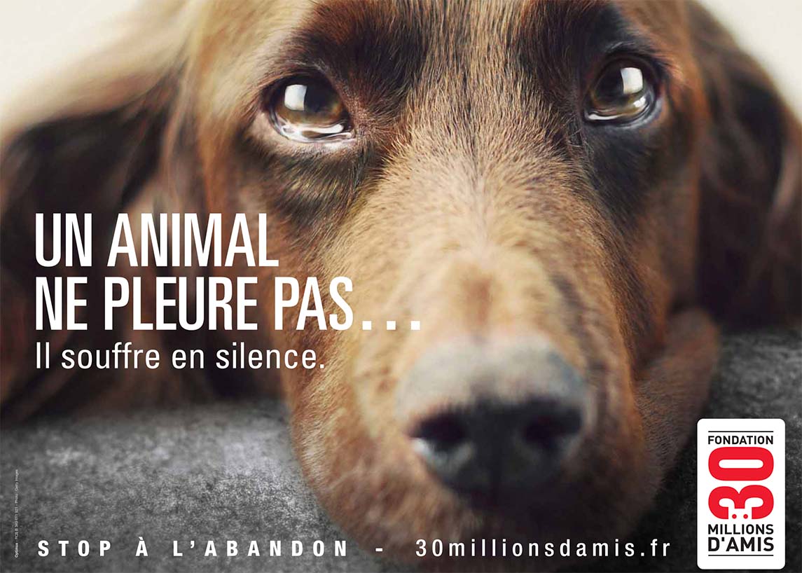 Affiche 30 millions d'amis