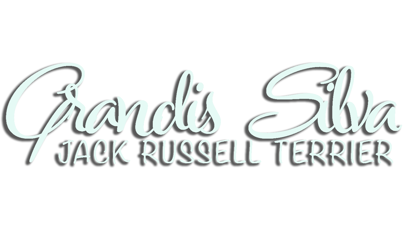 Grandis Silva jack russell Toulouse