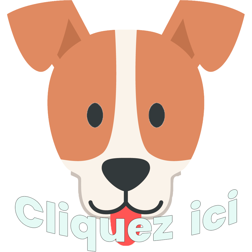 standard jack russell terrier